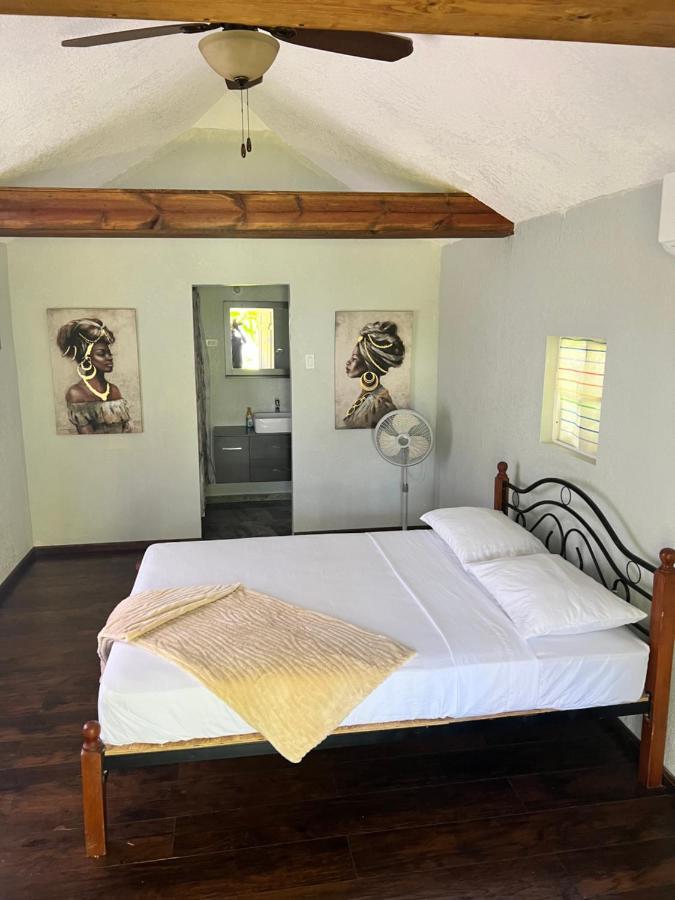 Jamaica Colors Hotel And Eco-Retreat ปอร์ตอันโตนิโอ ภายนอก รูปภาพ