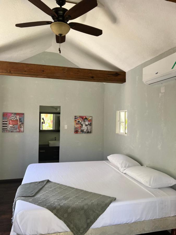 Jamaica Colors Hotel And Eco-Retreat ปอร์ตอันโตนิโอ ภายนอก รูปภาพ