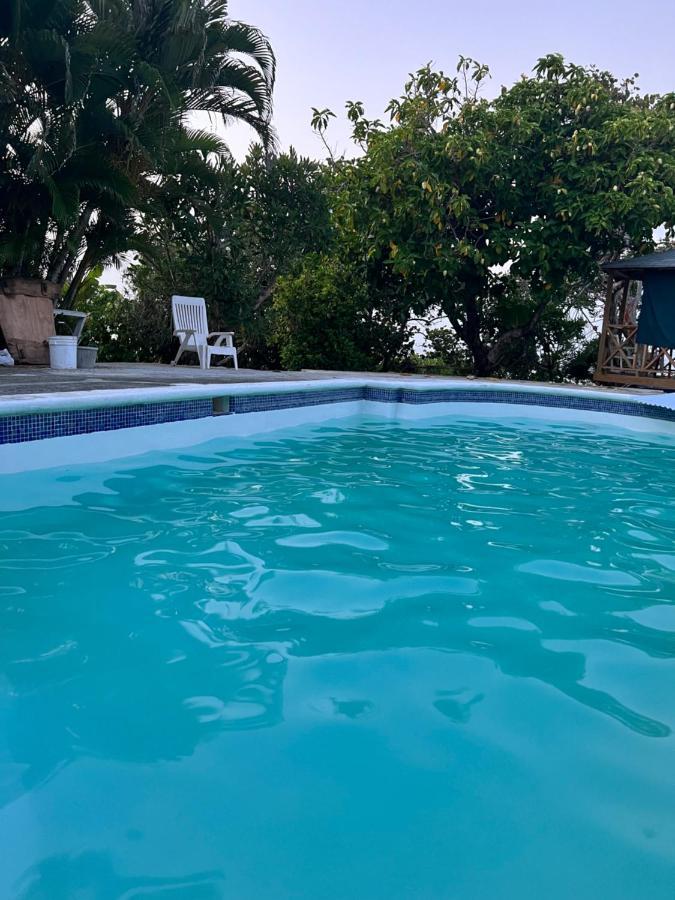 Jamaica Colors Hotel And Eco-Retreat ปอร์ตอันโตนิโอ ภายนอก รูปภาพ