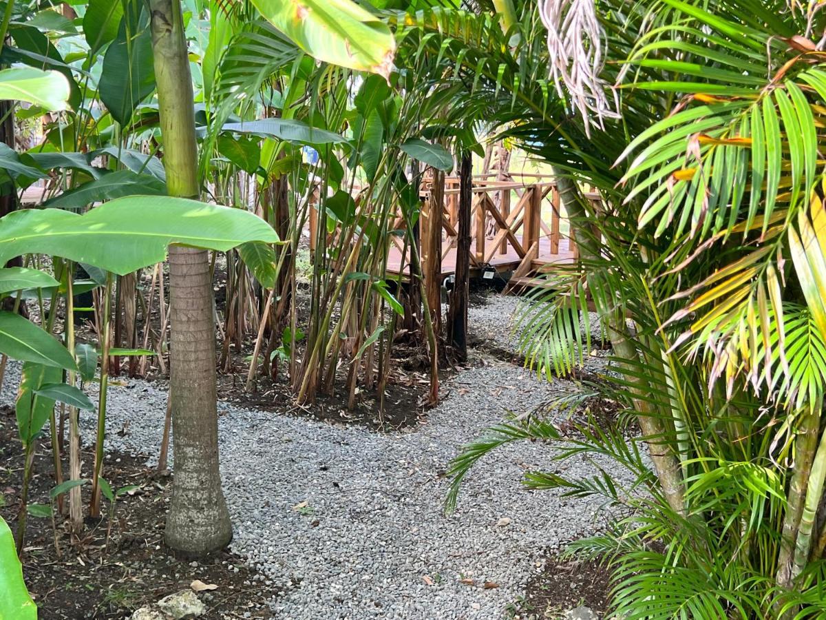 Jamaica Colors Hotel And Eco-Retreat ปอร์ตอันโตนิโอ ภายนอก รูปภาพ