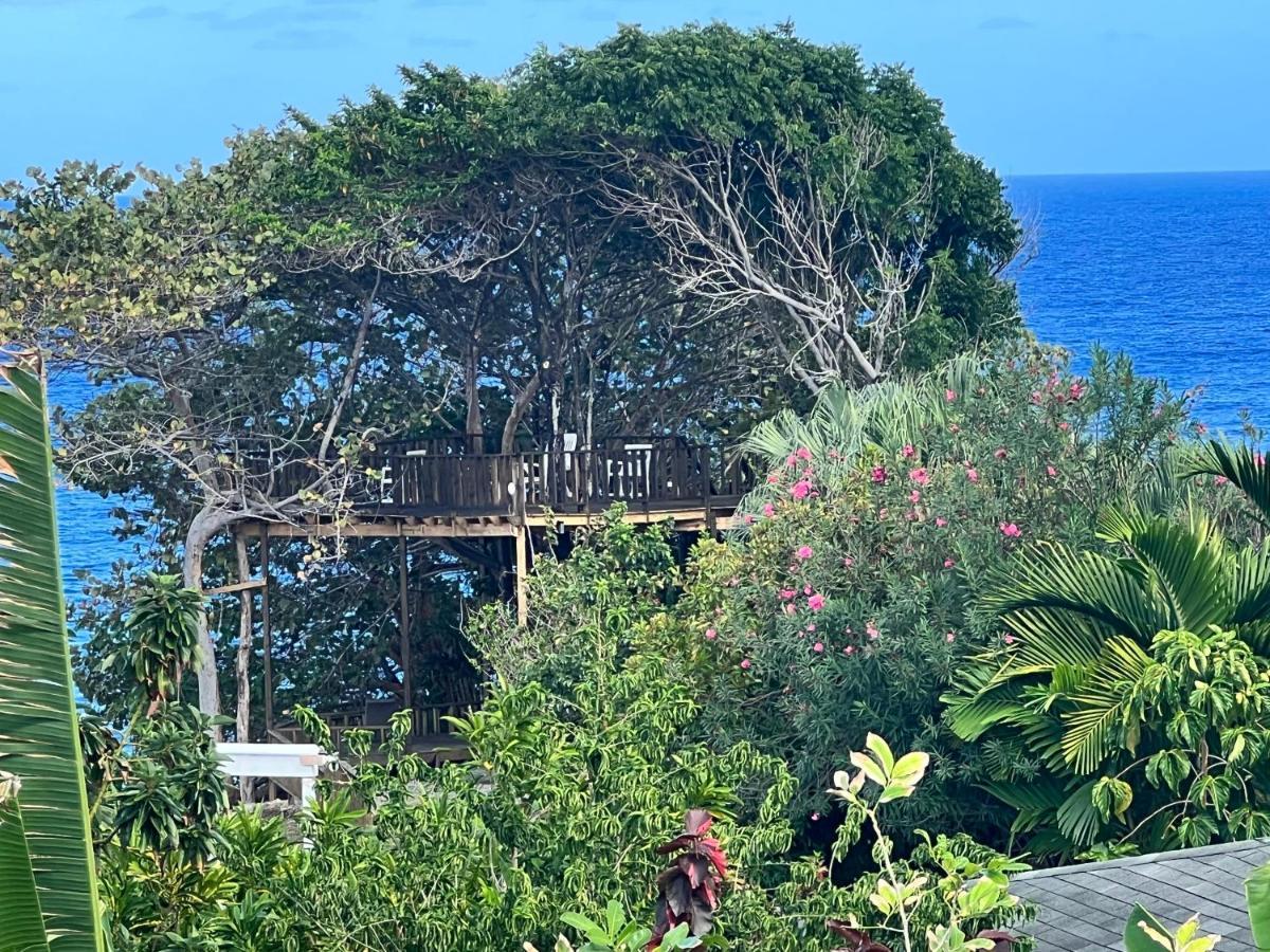 Jamaica Colors Hotel And Eco-Retreat ปอร์ตอันโตนิโอ ภายนอก รูปภาพ
