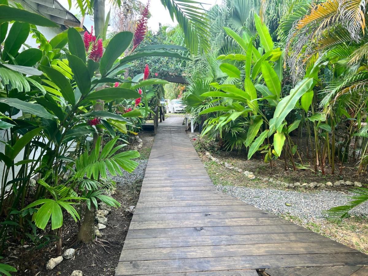 Jamaica Colors Hotel And Eco-Retreat ปอร์ตอันโตนิโอ ภายนอก รูปภาพ