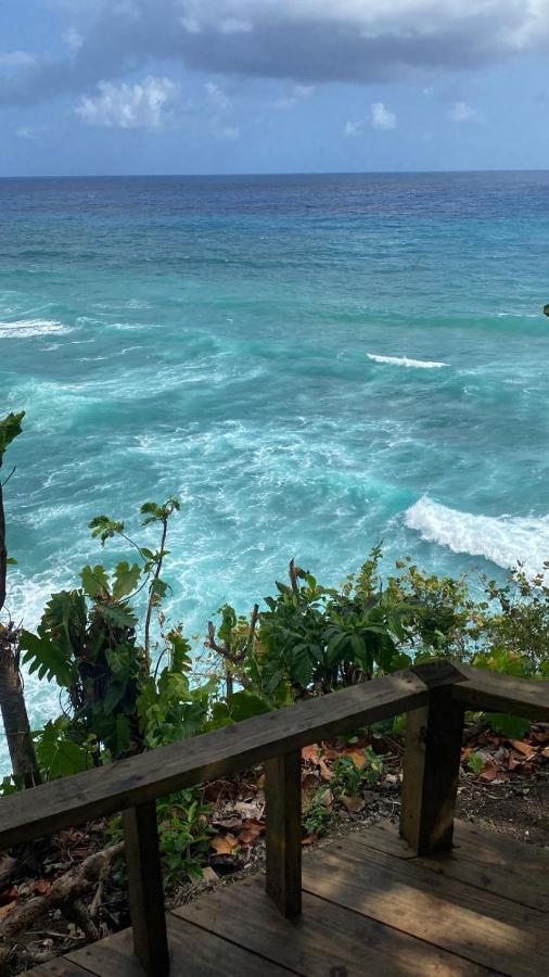 Jamaica Colors Hotel And Eco-Retreat ปอร์ตอันโตนิโอ ภายนอก รูปภาพ