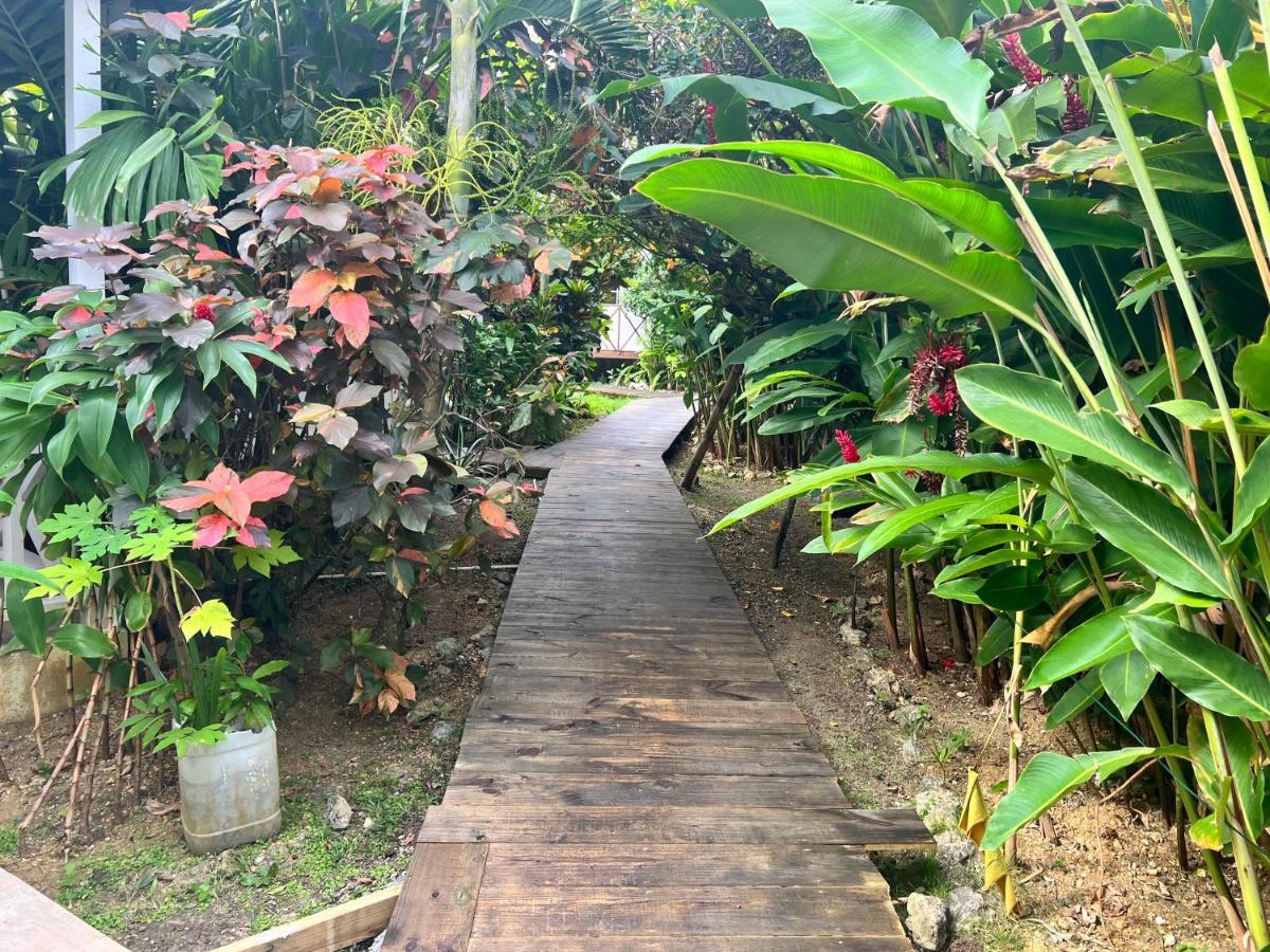 Jamaica Colors Hotel And Eco-Retreat ปอร์ตอันโตนิโอ ภายนอก รูปภาพ